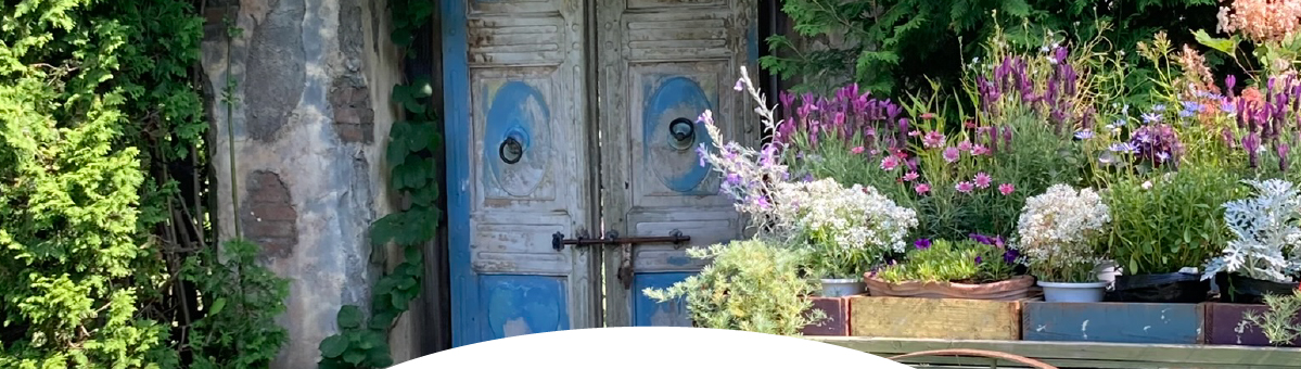 Angerica アンジェリカ占い鑑定サロン 瑠璃(るり)